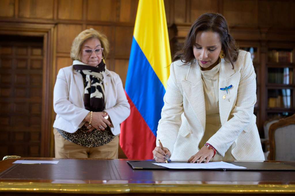 La nueva viceministra de Asuntos Multilaterales, Paula Andrea Cerón, se posesionó este lunes.