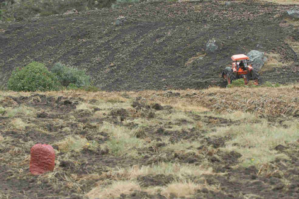 Finagro subsidiará hasta un 80% del valor de la póliza contra desastres climáticos. / Archivo
