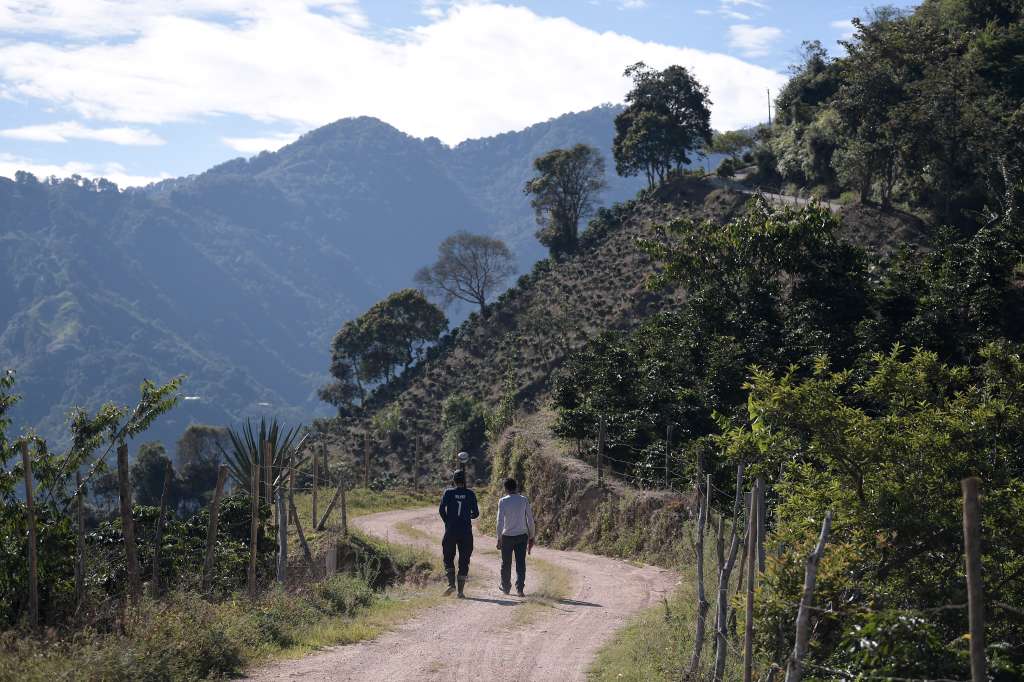 Formalización de predios en esta vereda ubicada en el municipio de Hobo, Huila.