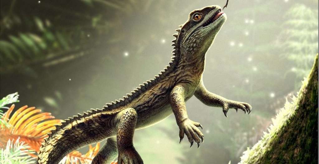 Se cree que el Agriodontosaurus quedó atrapado en una inundación causada por una tormenta, lo que provocó que quedara rápidamente enterrado y quedara bien conservado.