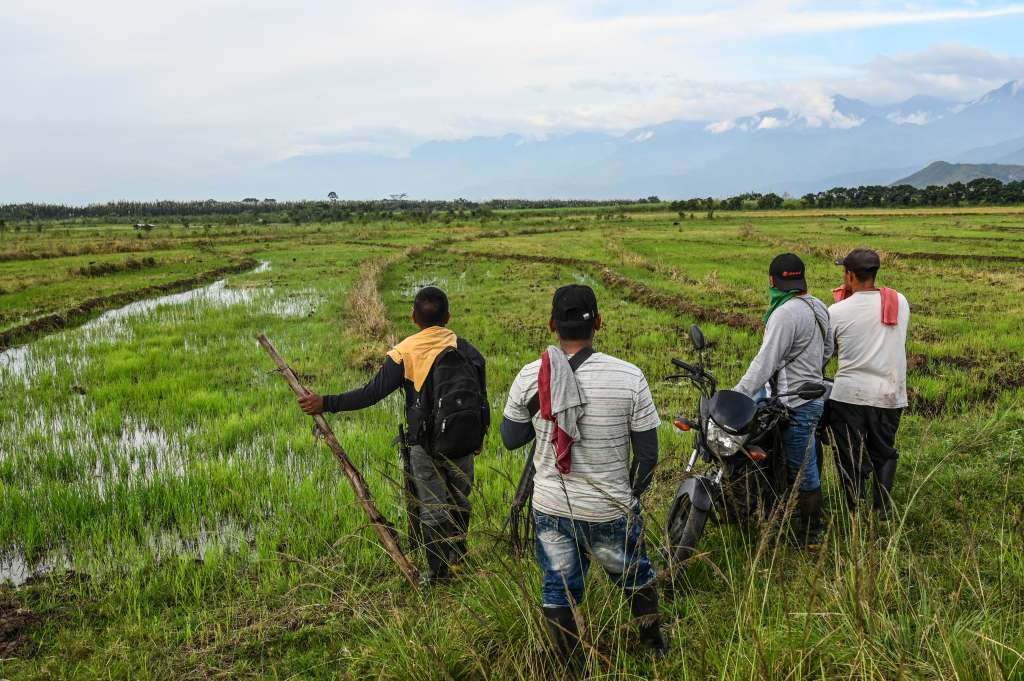 Invasiones de tierras amenazarían la reforma agraria, según gobierno Petro
