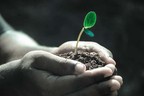 Así funcionará el plan de financiamiento para incentivar producción agropecuaria