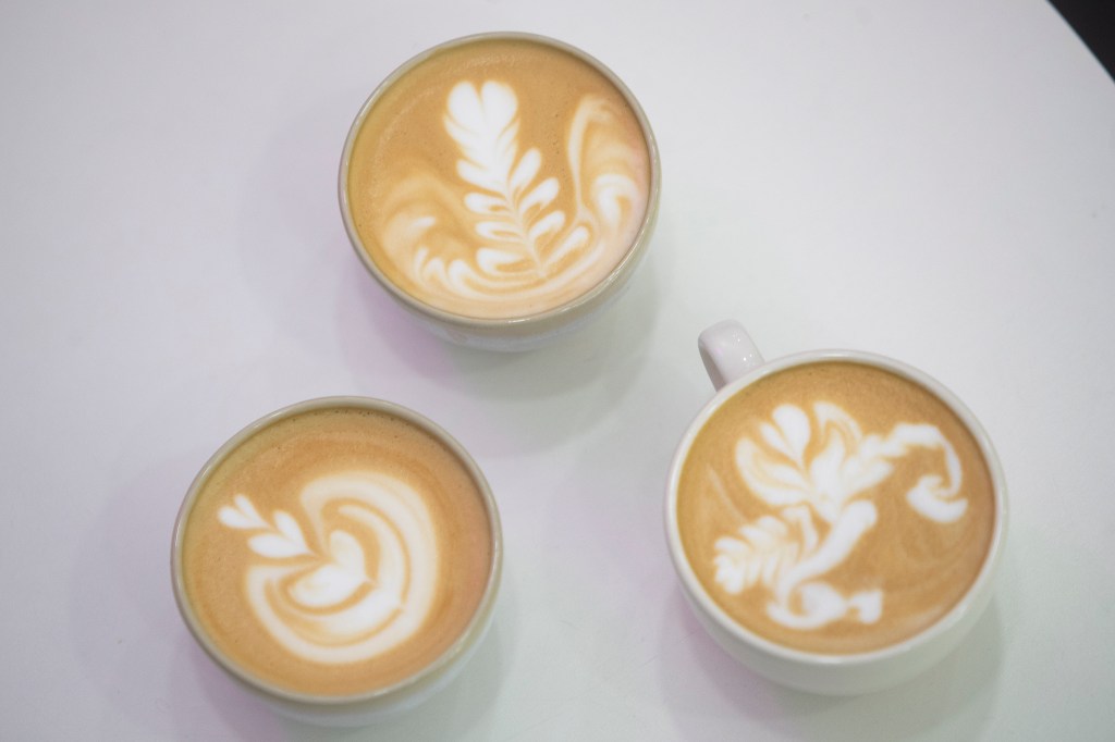 VIGO, 27/03/2025.- Las tazas se convierten en lienzos sobre los que los baristas plasman sus creaciones a través del 'latte art', el arte del café con leche, sabedores de que sus pinturas son efímeras, que suelen esfumarse al primer sorbo, aunque alguno logra resistir un poco más, y que tienen como objetivo dar "un plus" al producto que ofrecen. EFE/ Salvador Sas