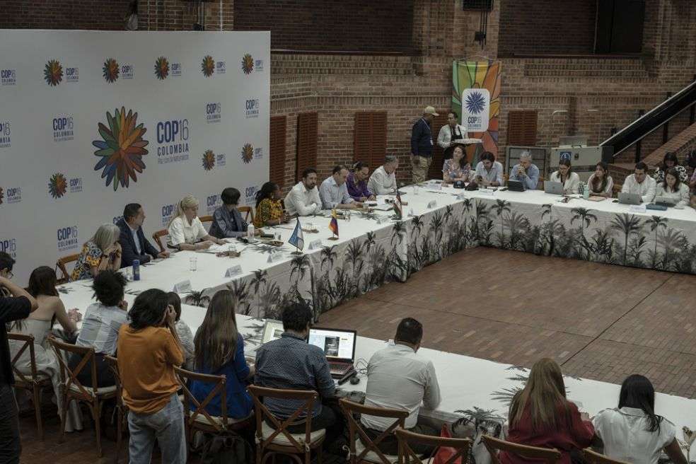 Reunión del comité directivo de la COP16 en abril de 2024