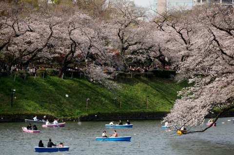 Gobierno de Japón abre becas para que colombianos estudien pregrados, maestrías y doctorados