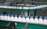 Colombia consume menos leche que antes, ¿por qué?