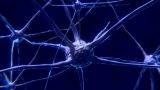 ¿Qué sabemos de cómo el mundo cambia nuestro cerebro?