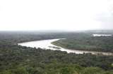 La ambiciosa meta de Guaviare para alcanzar la cero deforestación en diez años