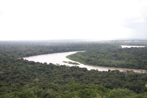 La ambiciosa meta de Guaviare para alcanzar la cero deforestación en diez años