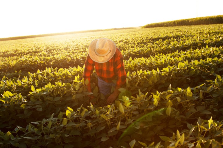 Así se ve la inclusión financiera en el sector rural
