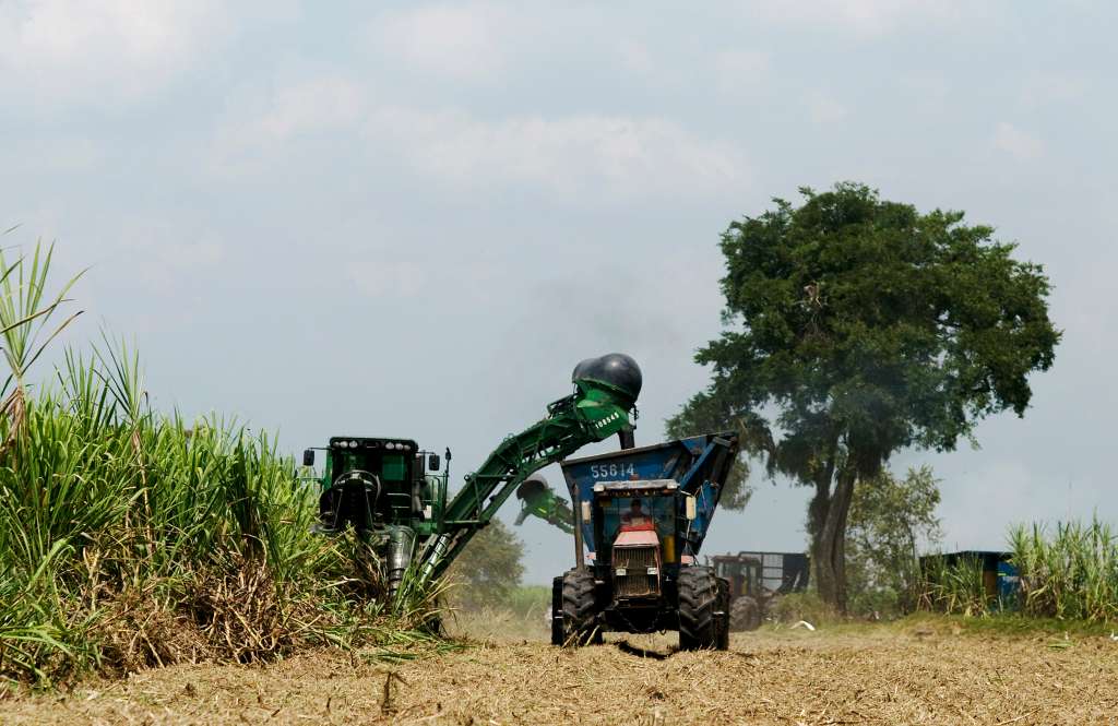La caña de azúcar se cosecha a máquina en una plantación de Incauca SA en El Ortigal, cerca del oeste de Cali. / Bloomberg News.