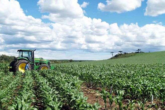 El campo y la rectivación económica.