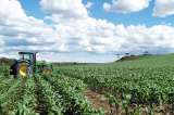 Precios de los insumos agrícolas bajó casi 10 % entre enero y mayo de 2023