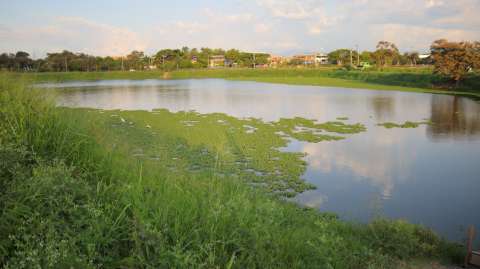 Así se recuperó Charco Azul, el humedal del oriente de Cali que ahora es orgullo ambiental