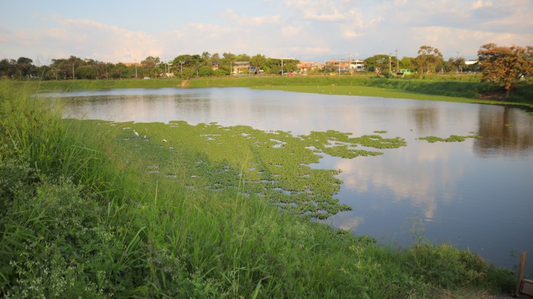 Así se recuperó Charco Azul, el humedal del oriente de Cali que ahora es orgullo ambiental