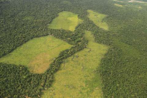 Gobernadora del Meta alerta una deforestación masiva en el departamento