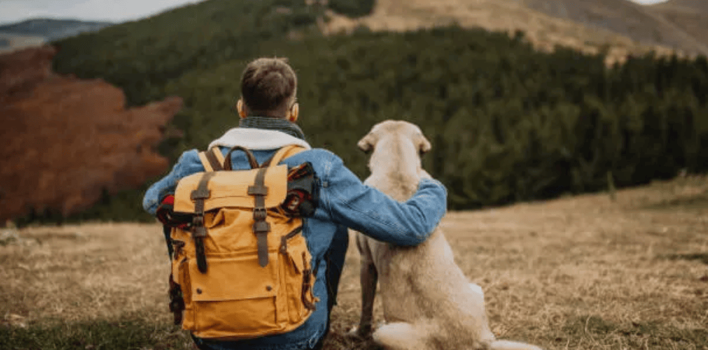 La clave para una experiencia segura radica en la preparación adecuada y la elección inteligente de las rutas. Es preferible optar por senderos más concurridos y conocidos, donde la presencia humana regular haya creado un ambiente más seguro tanto para las personas como para sus mascotas.