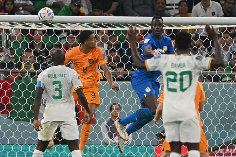 Países Bajos vs. Senegal, Mundial de Fútbol Catar 2022