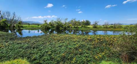 Abren convocatoria de financiamiento para proteger humedales de Cundinamarca