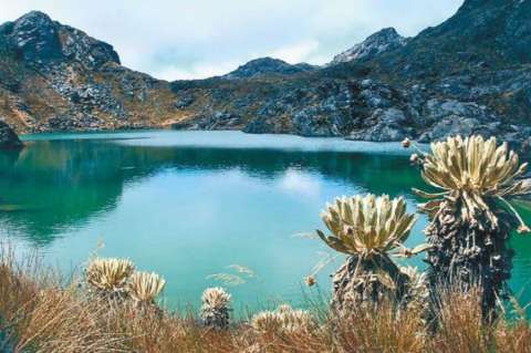¿Qué es EcoOro y por qué perdió con Colombia una demanda de un millón de dólares?
