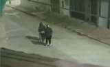 Personas caminando para atrás a medianoche atemorizan a vecinos en Bogotá