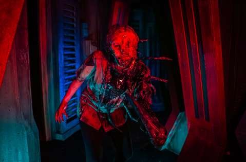 Busch Gardens celebra Halloween con novedades y más de 25 experiencias