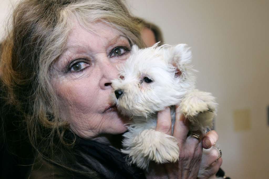 (FILES) French actress and animal rights activist Brigitte Bardot in a dog pound in Nice (southern France), holding one of 143 puppies seized by customs officiers in a Hungarian van, on December 28, 2005.