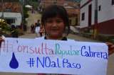 El regreso de las consultas populares