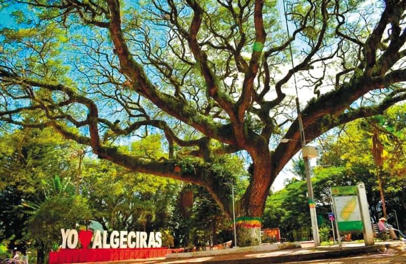 En este municipio hay presencia de cuatro facciones distintas de las extintas Farc.