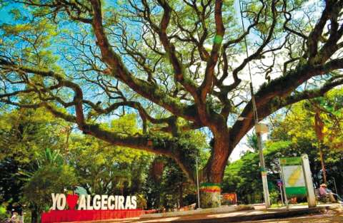 La historia de violencia en Algeciras que parece repetirse