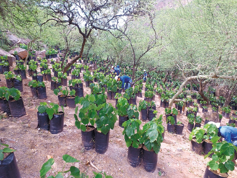 Desde el 2008, ISAGEN calcula su huella de carbono.