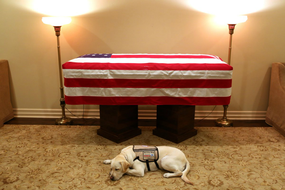Sully llegó al servicio del fallecido expresidente Bush en junio de este año, tras el fallecimiento de su esposa Barbara. / Twitter @jgm41