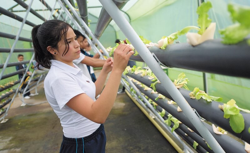 Bogotá cuenta con 28 instituciones con sedes rurales en Ciudad Bolívar, Suba, Sumapaz, Usme, Chapinero, Usaquén, Santa Fe y San Cristóbal. / José Vargas