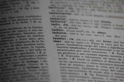 “Sérum”, “espólier” y otras nuevas palabras del diccionario de la RAE en 2024