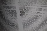 Esta es la palabra del año 2025, según Oxford y su significado