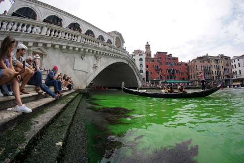El Gran Canal de Venecia se tiñe de verde fosforescente, ¿de qué se trata?