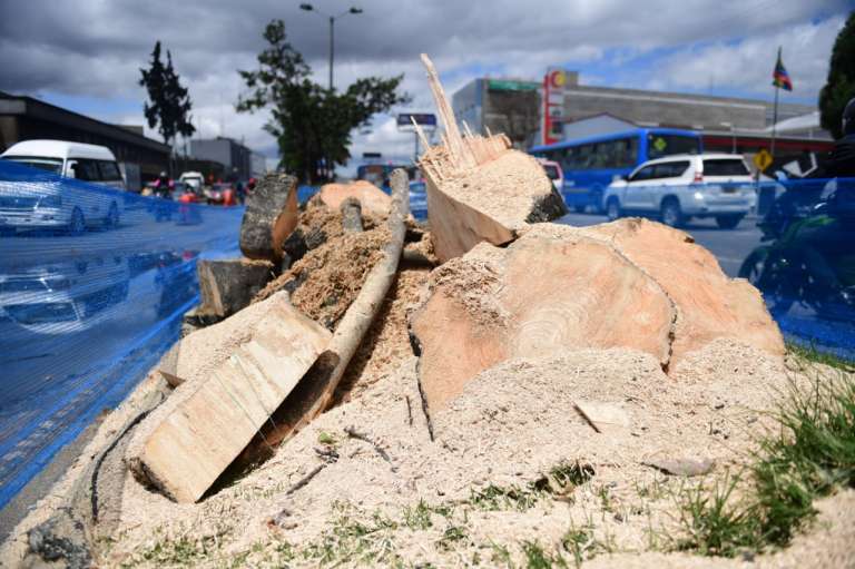 Habitantes aseguran estar preocupados de que estas talas continúen y no se hagan los traslados acordados.