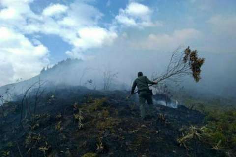 Incendio forestal consume un cerro en Santander
