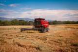 Prepárese para Agroshow, la feria bienal en el Tolima para el desarrollo del agro