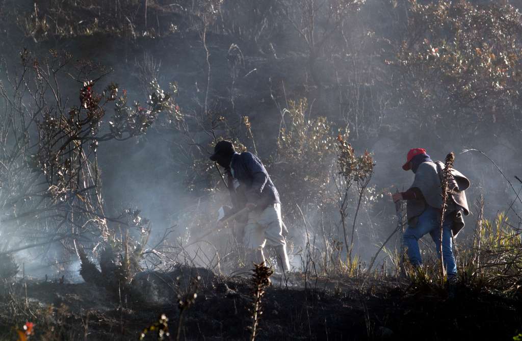 AME1862. SANTURBÁN (COLOMBIA), 24/01/2024.- Campesinos combaten hoy un incendio forestal cerca al páramo de Berlín en el nudo de Santurbán, en Santander (Colombia). Decenas de hectáreas de vegetación de alta montaña han sido consumidas por un incendio en el páramo de Berlín, crucial para el abastecimiento de agua potable del noreste de Colombia, informaron este miércoles las autoridades. El páramo de Berlín hace parte del sistema de páramos de Santurbán, una de las principales reservas de agua potable del país y está incluido entre los Parques Nacionales. EFE/ Mario Caicedo