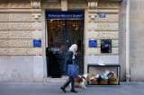 Fama, activismo y causas sociales: el rol de las celebridades en la defensa animal