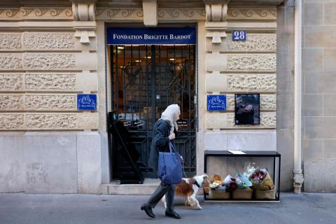 Fama, activismo y causas sociales: el rol de las celebridades en la defensa animal