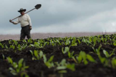 Agencia Nacional de Tierras no comprará predios “invadidos u hostigados”