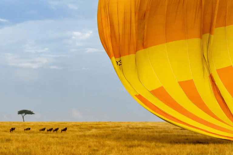 Categoría lugar, gente y naturaleza:
Michael Hegyi tomó esta foto cuando un pequeño grupo de ñus azules salvajes ven desde lejos cómo aterriza un globo aerostático.