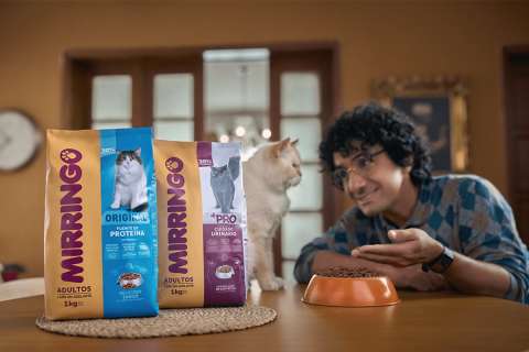 Mirringo presenta a Harry y William