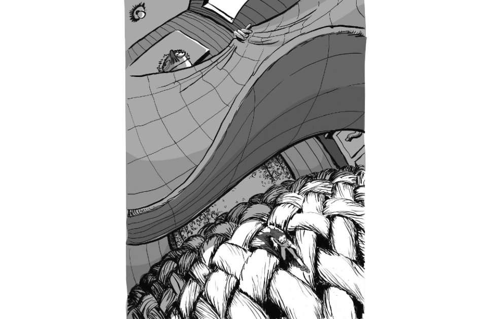 Ilustración: La Ché / Ilustración: La Ché