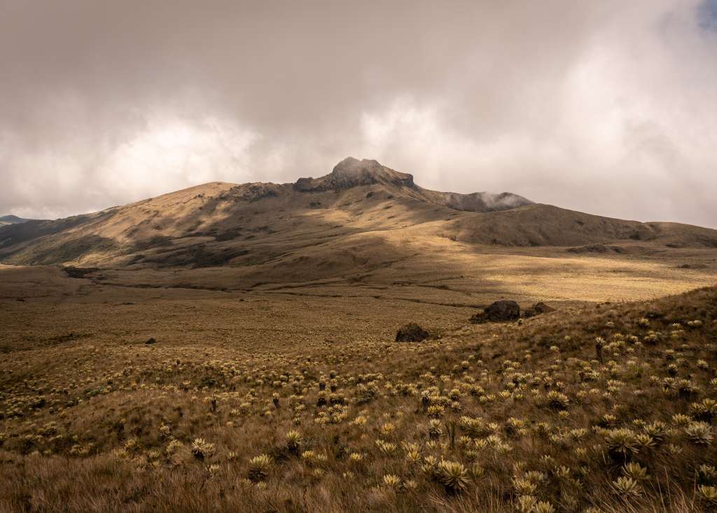 El volcán Sotará, en Cauca, es uno de los más inexplorados del país y está ubicado en un resguardo indígena que logró convertirse en un rincón de paz en el departamento.