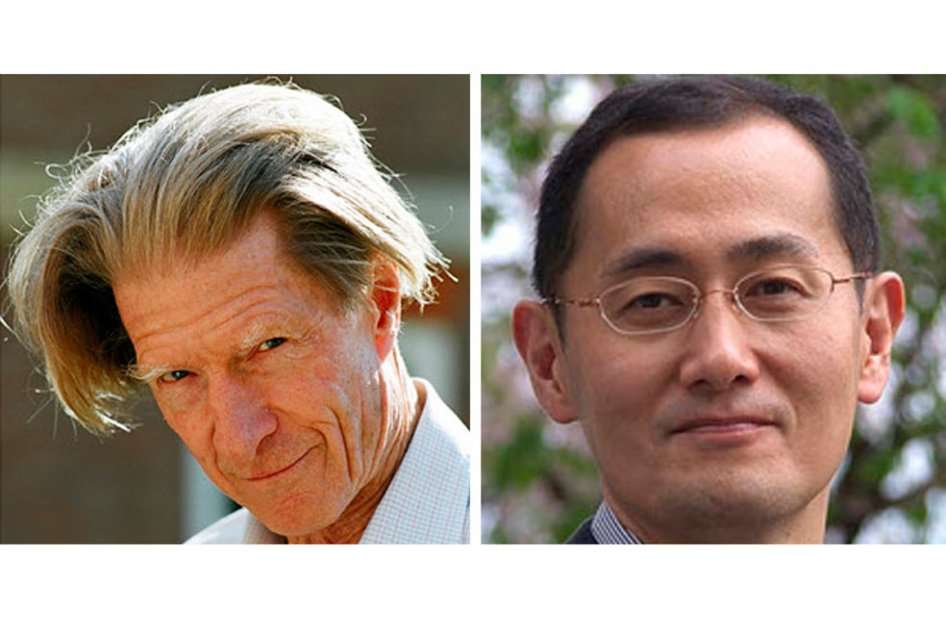 John B. Gurdon y Shinya Yamanaka, ganadores del premio nobel de medicina 2012. Foto: AFP