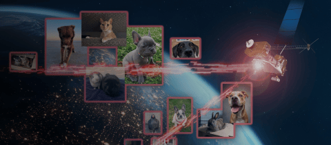 Compartiendo fotos de mascotas: NASA probó nueva tecnología láser en comunicaciones