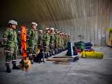 Temblor en Colombia: Ejército alista cinco pelotones de rescatistas para atender emergencias